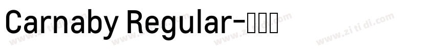 Carnaby Regular字体转换
